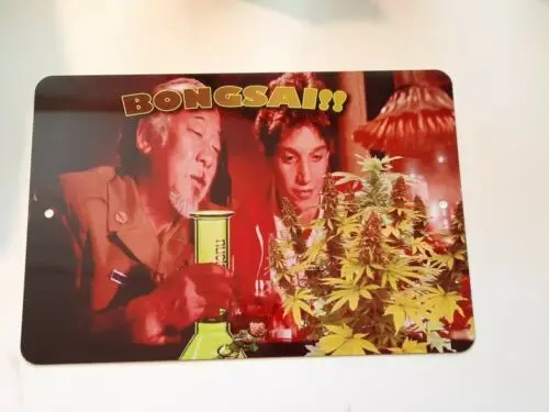 1 ks, karate Kid Bongsai !! Burina pán Miyagi Daniel syn vtipný 8x12 kovová stena
