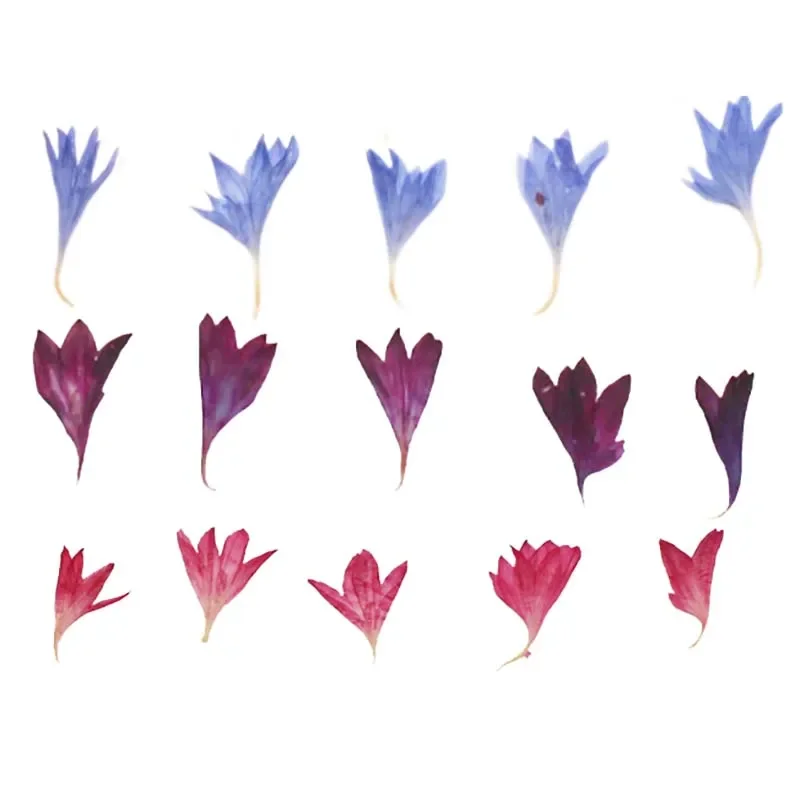 1 ~ 2 cm/40 a 20ks