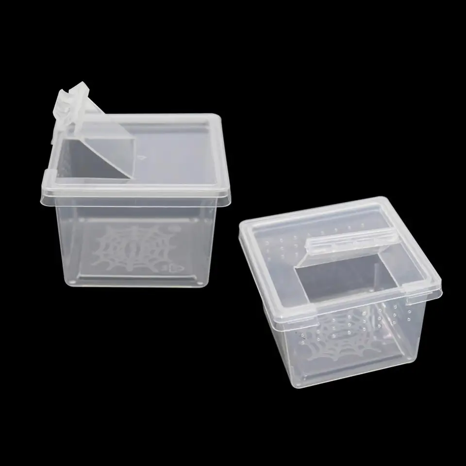 10 ks larválne chovné boxy plasty Plast Plast Plast Scorpion Spider Cultivate Container Hmyz Living Box