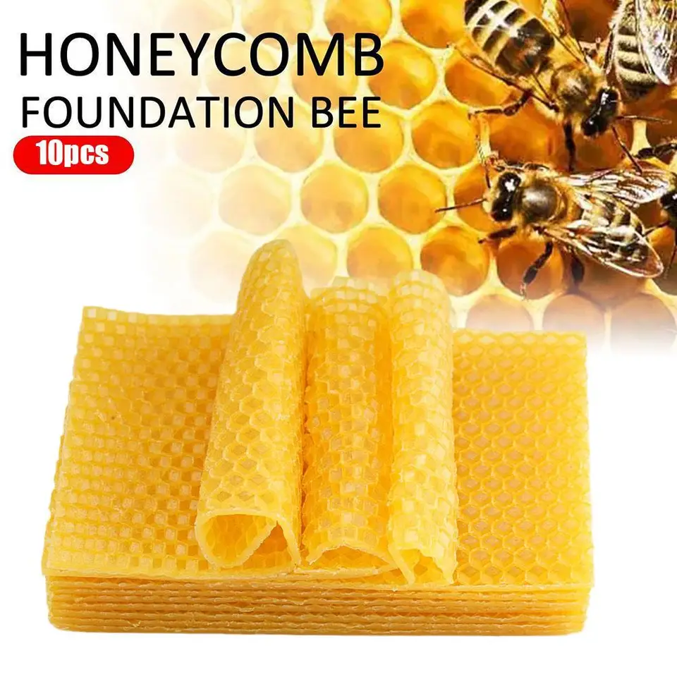 10 počítačov Nová včelá vosková nadácia Bee Hive Wax Rámy základný rám včelí vosk včelá