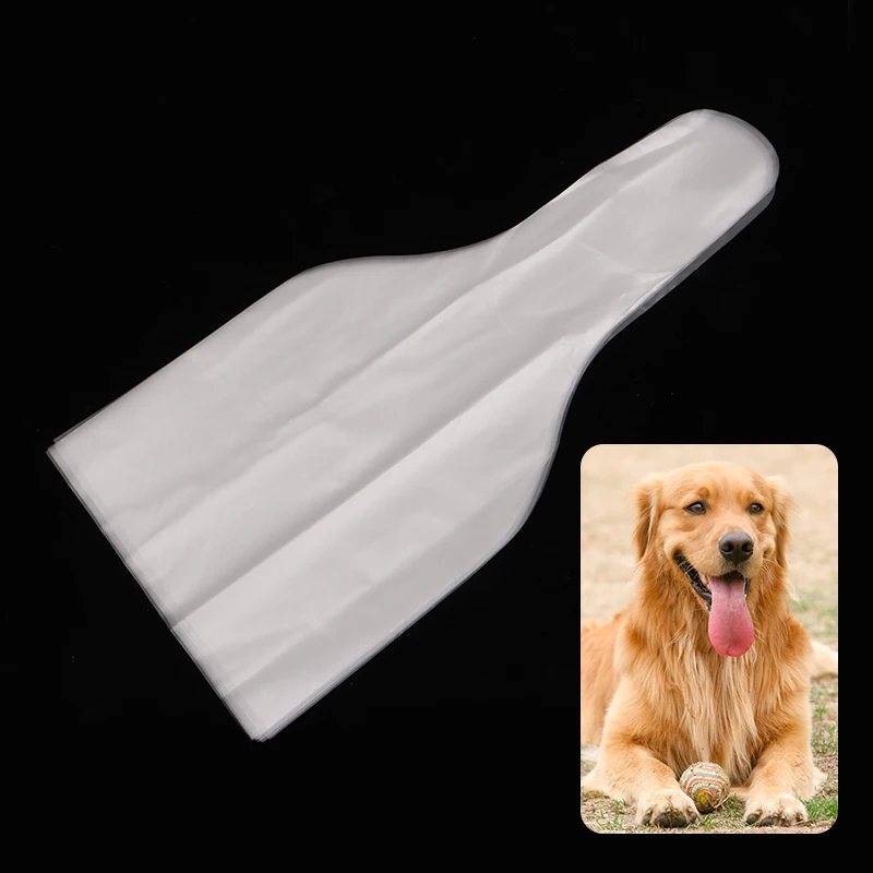 10 počítačov Pet Dog Collection Collection Bag Zhromažďovanie jednorazového umelého inseminácie Labrador Corgi Clinic Hospital Supplies