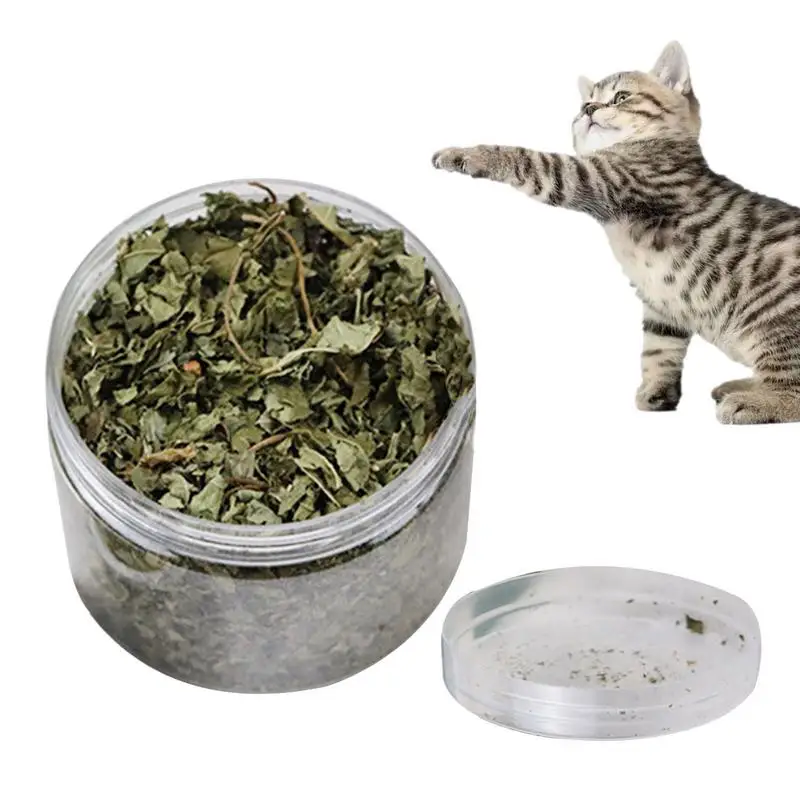 100 prírodných catnip mačiek hračky mentol aróma čisté zuby zdravá starostlivosť vtipná mačka Catmint hračky Organic Premium Catnip Cat Dodávateľ
