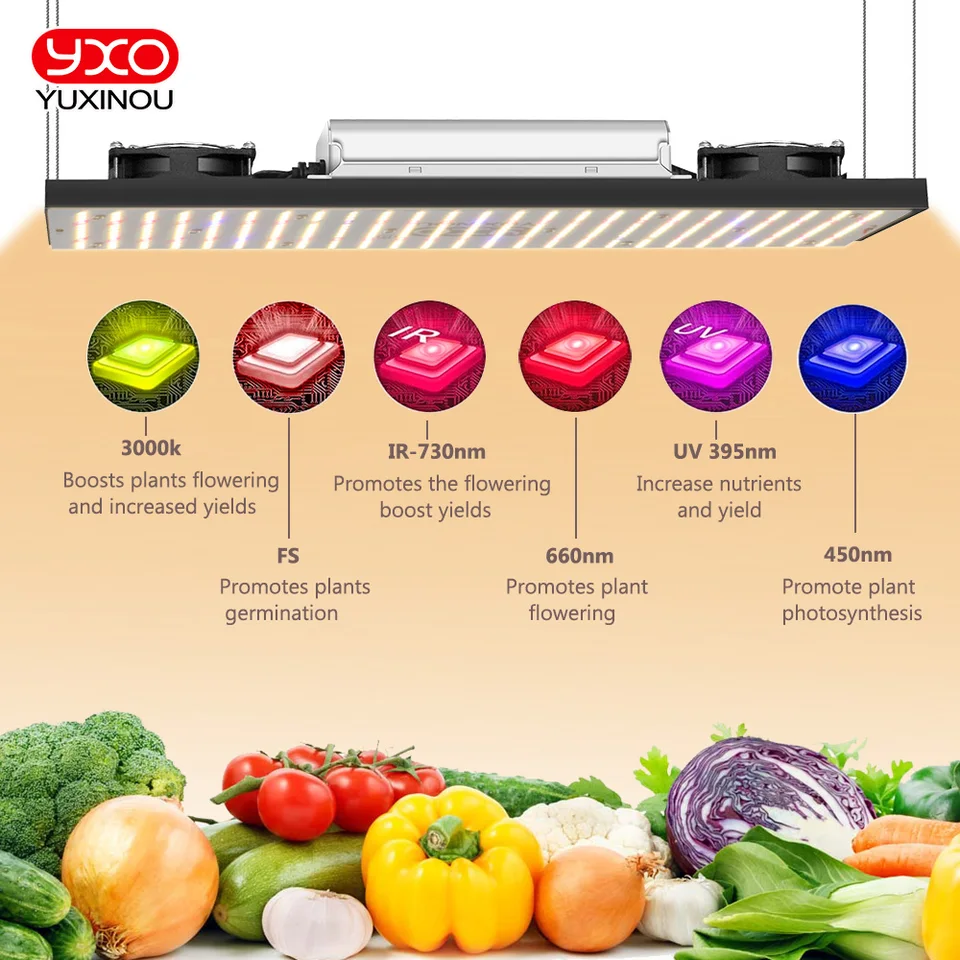 1000 W s-sung LM301H kvantové LED Grow Light 200 W celé spektrum Phyto lampa pre vnútorné rastliny kvetinové sadenice Veg a kvitnúce