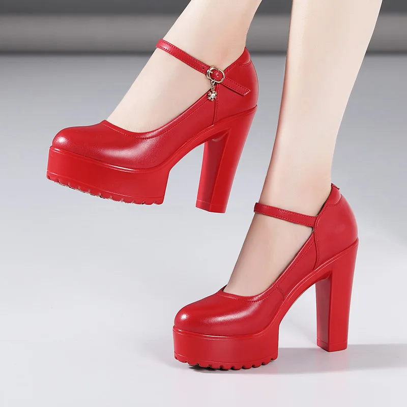 12 cm elegantné priedušné plytké bloky vysoké podpätky topánky Spring 2025 Platforma Pumps Strieborné červené svadobné topánky pre kancelársky model