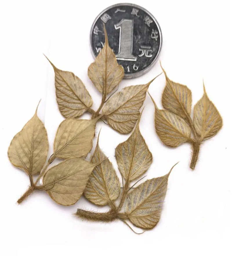 120ks 1,5 cm Vytlačený sušený lobed kudzuvine lista rastlinný herbarium pre šperky telefónny puzdro Photo rámu záložky remeselníka