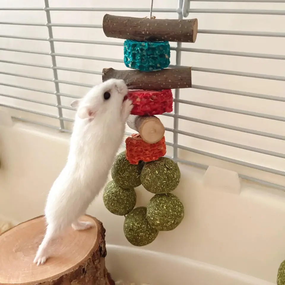 15/18 cm škrečok žuvacie hračky Bunny Bunny Chew Toys Molar Rod Cleaning Čistenie zdravých trávy guľôčkových tyčiniek škrečok hračky Pet Pet Pet Adsessory