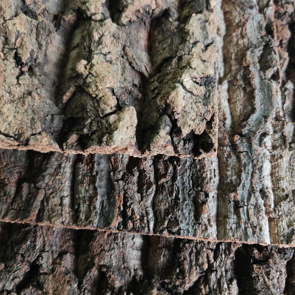 15/30/40/60 cm Kôra akvárium Aquarium pre rybie nádrže Pozadie šampanské stromy kôra prírodné drevo akvárium Fish Tank Driftwood Driftwood