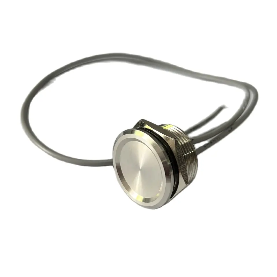 16 mm 19 mm 22 mm 25 mm nepremokavý spínač Piezo IP68 s 200 mA s momentom Normálne otvorený spínač nehrdzavejúcej ocele