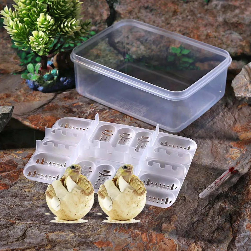 16 mriežkových plazov Lizard Snake Egg Inkubátor Tray liahne plastové šľachtenie
