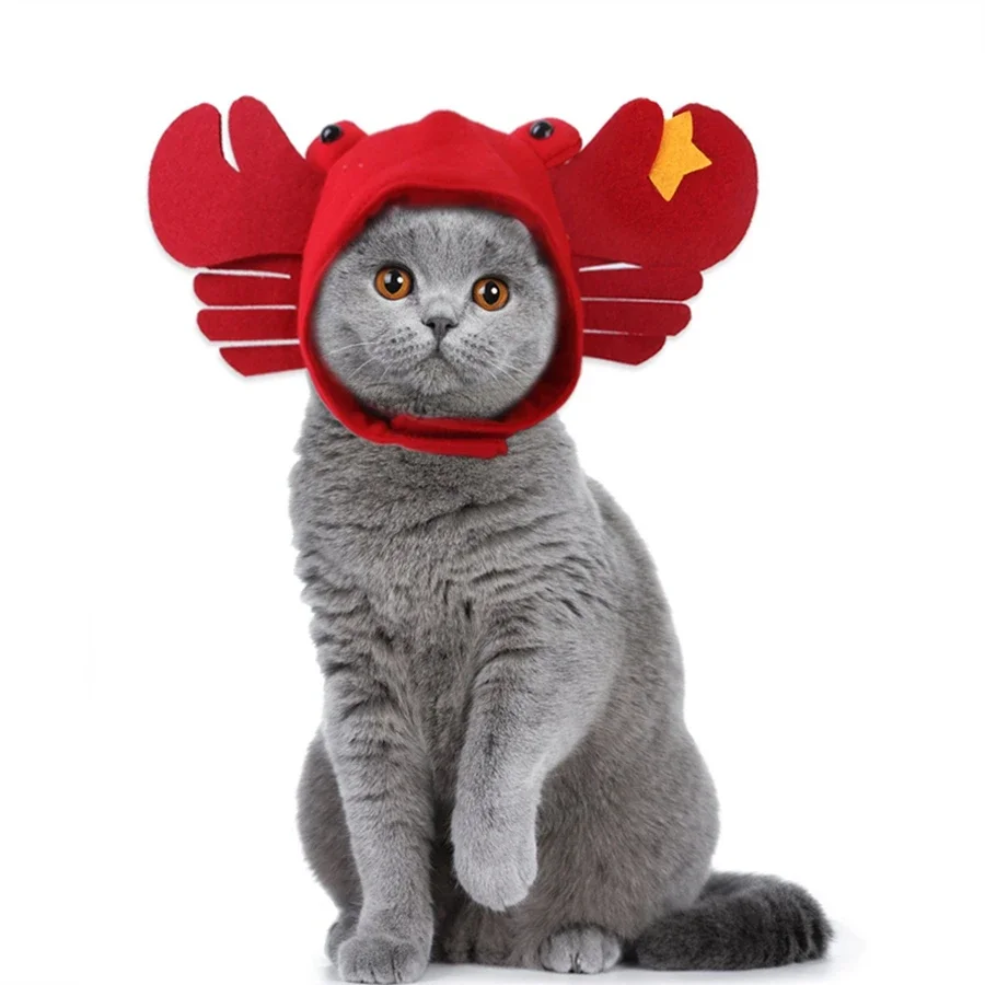 1ks nové domáce klobúky Teddy Dress Up Crab Headar Cat Cat Hats Mačacie náhlavné súpravy domácich miláčikov
