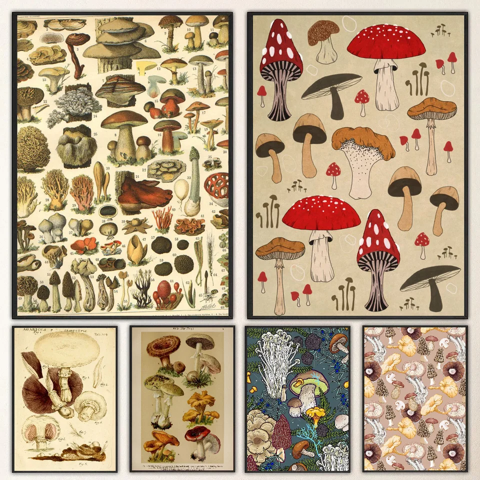 1PC botanické huby retro plagát Animal Plagát Self-pasívny umenia vodotesná nálepka papierovej slepky na kaviarni Bar izba Decor