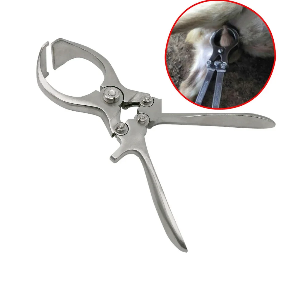 1pc chov hospodárskych zvierat kastrácie bez krvi kliešte na kastráciu ošípaných ovce Semenná kastrácia Clamf Farm Animal Clamps Clamps Veterinary Tools