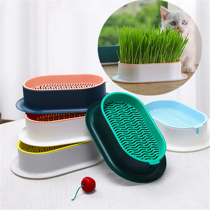 1pc mačka Grass Hydroponic Box Creative Pots pre super krásne vnútorné vonkajšie domové dekorácie záhradná terasa