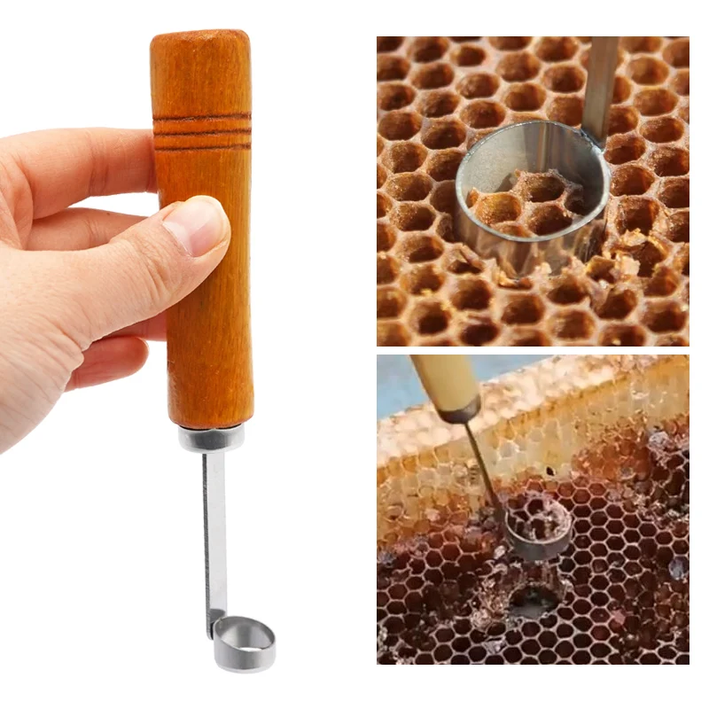 1pc včelárske zariadenie úľa čistenie škrabky Funkčný removerový remover včelárskych prístrojov pre včelárske záhradné vybavenie