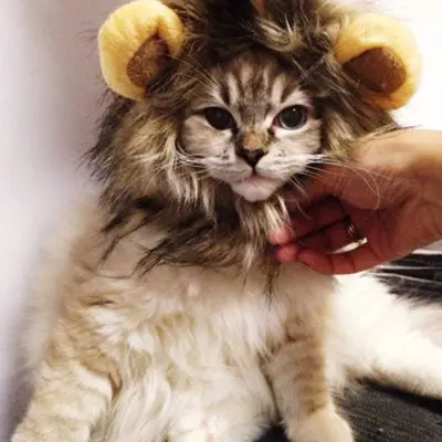 1pcs 2018 Nový domáci psť psov psa Emulation Lion Hair hriva hlava čiapka na jeseň zimné šaty