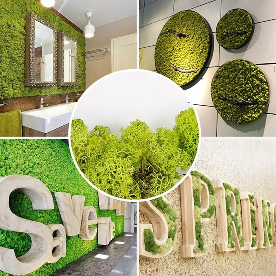 20/40/60G umelé zelené rastliny Večný mach život Grass DIY remeslá