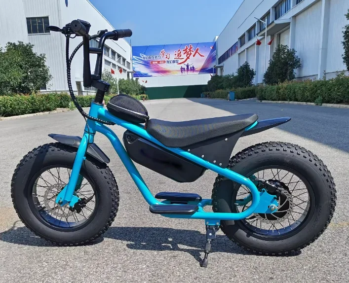 2024S16 Nové populárne detské skútre 16 palcov FAT TIRE 500W 48V13AH HUB