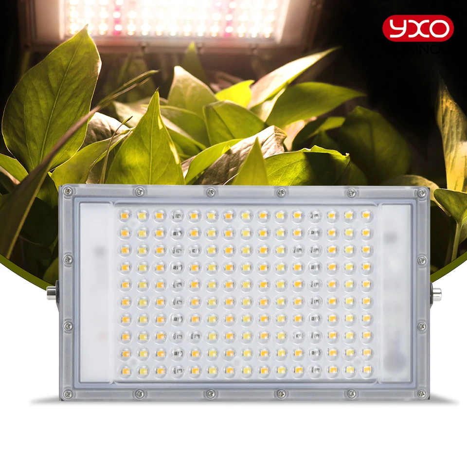 300 W celé spektrum LED Grow Lights High PPFD pre semená Indoor IR UV Full Spectrum Phytolamp pre rastliny Hydroponika semeno