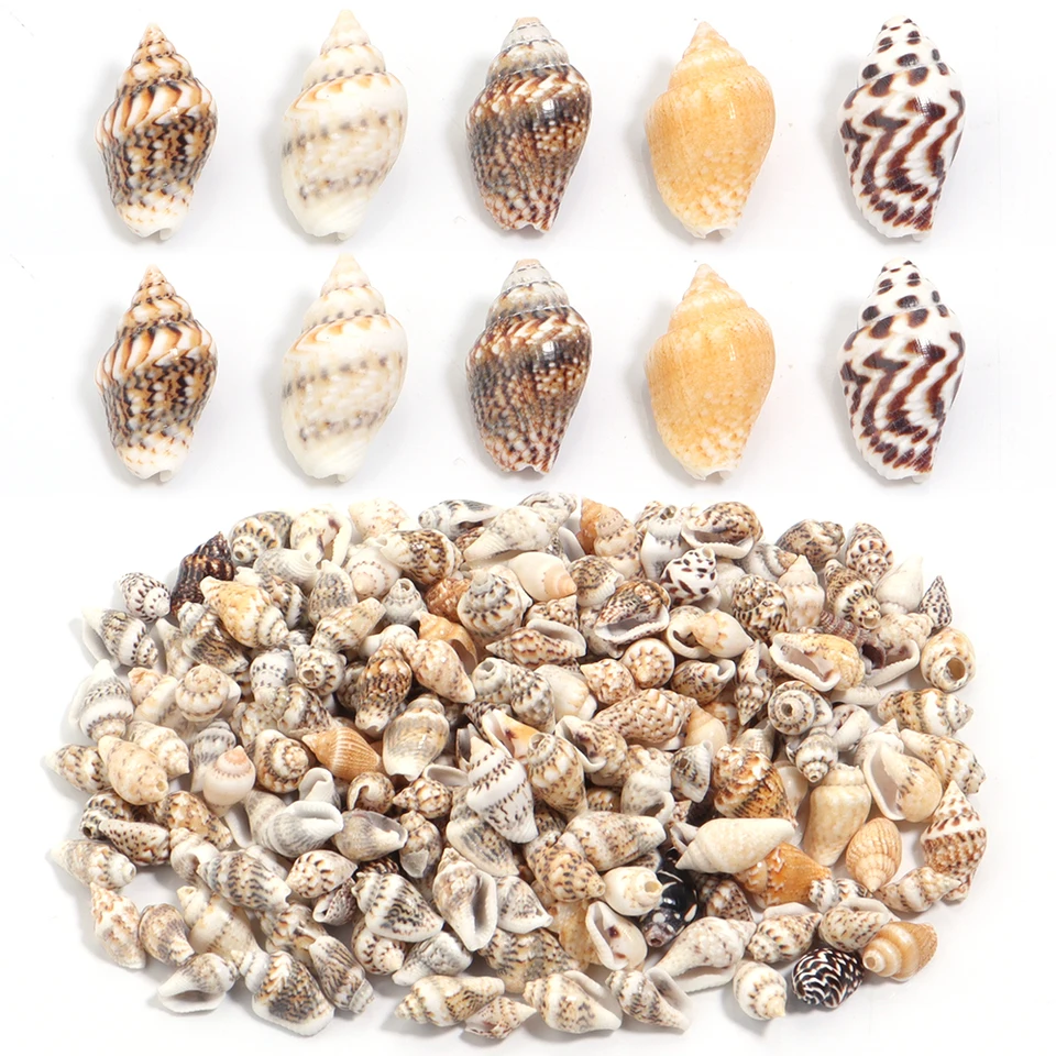 30g/taška 7-12 mm prírodné morské škrupiny Conch Vase Filer Domáca večierok Svadba DIY Náramok Náramok Náhrz Práľové korálky Akvárium akvárium dekoratio