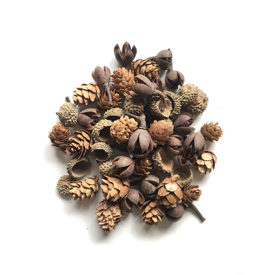 30ks prírodné borovicové kužeľ sušené kvety Rastliny Acorn Artificial Flower for Home Vianoce DIY Girland Veniec Nový rok dekorácia