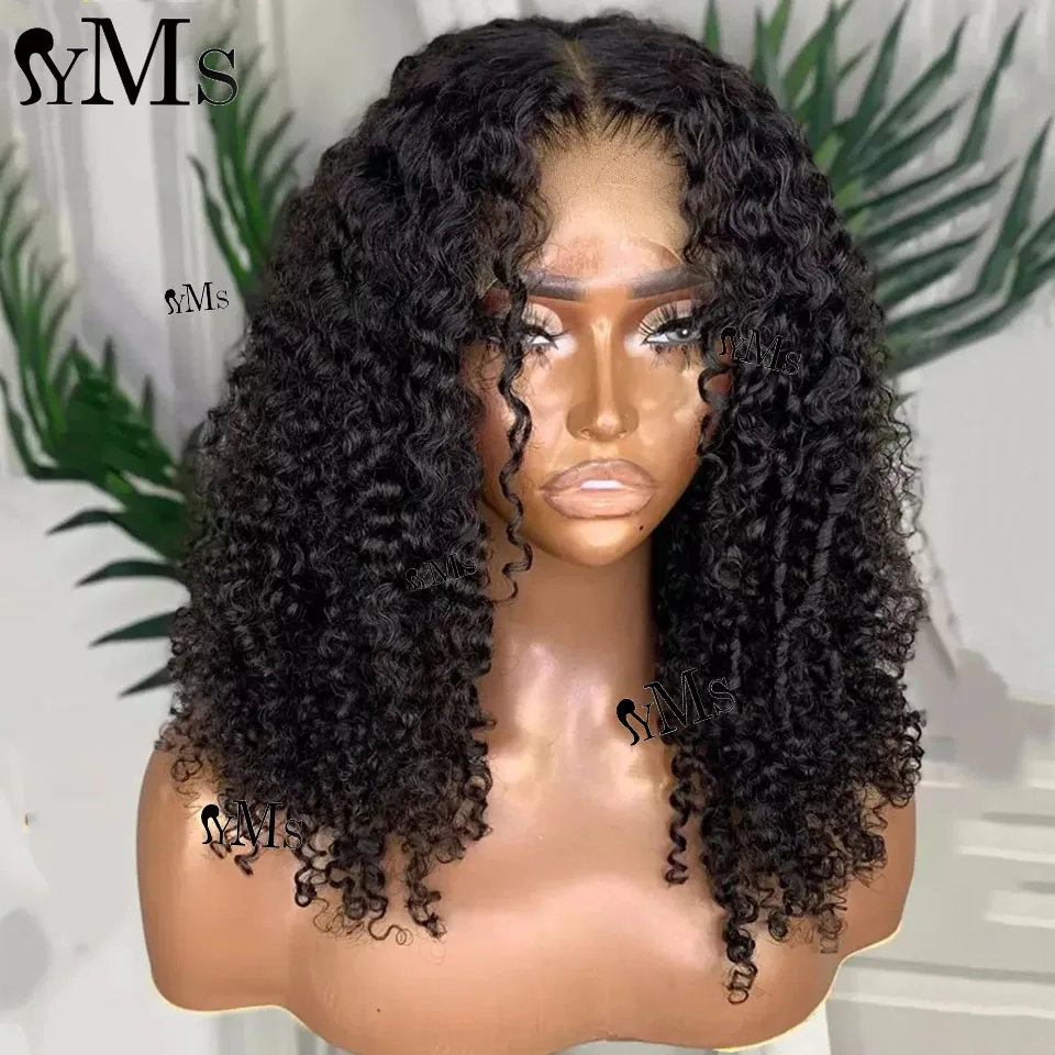 3C4A Premium Virgin Barmese Curly Lace Lace Frontal Parochňa 13x4 13x6 yms surové kučeravé čipky predné uzávery ľudské vlasové parochne pre ženy 250%