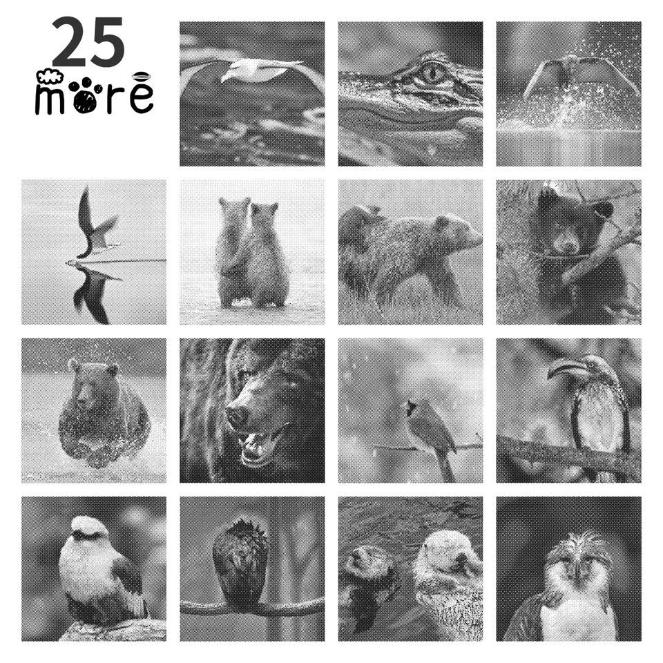 40x60cm Animal WD-J0294 ~ J0318 One Color Dot Painting Punktmalere Sippelen Een Kleur Sippen Sippelkunst