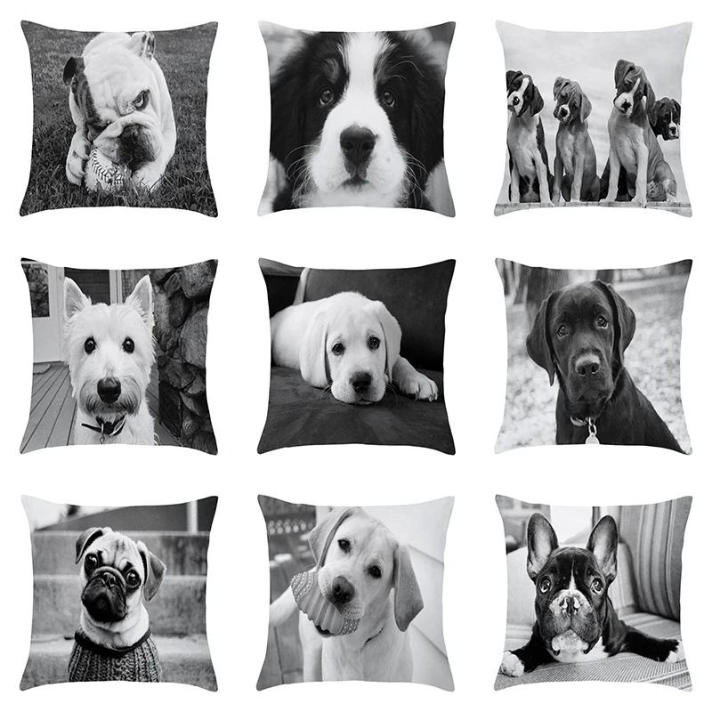 45x45 cm čiernobiela umelecká fotografia roztomilý puppy kancelária vankúš vankúš na vankúš
