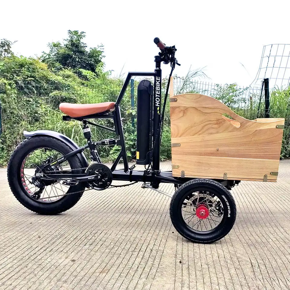 48V 500W 750W Mini Ebike Dospelý elektrický trojkolesový rodinný náklad pre elektrický bicykel pre deti 20 palcov Bicicletta Elettrica A 3 Ruote