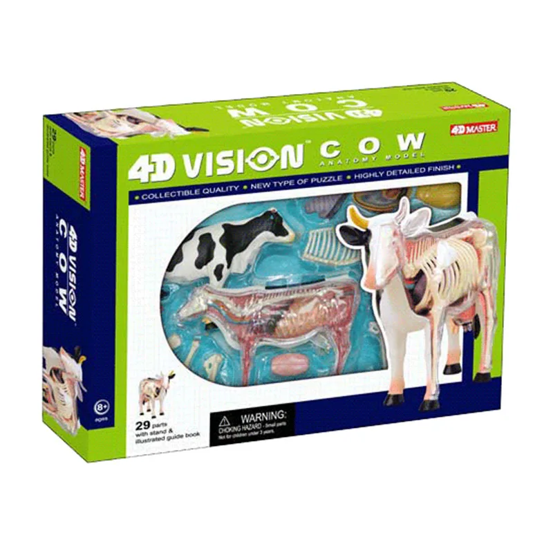 4D Master Vision Cow Cow Animal Anatomy Model Skeleton Medical Teachet Aid Laboratórne vzdelávanie Výučba Vyučovanie