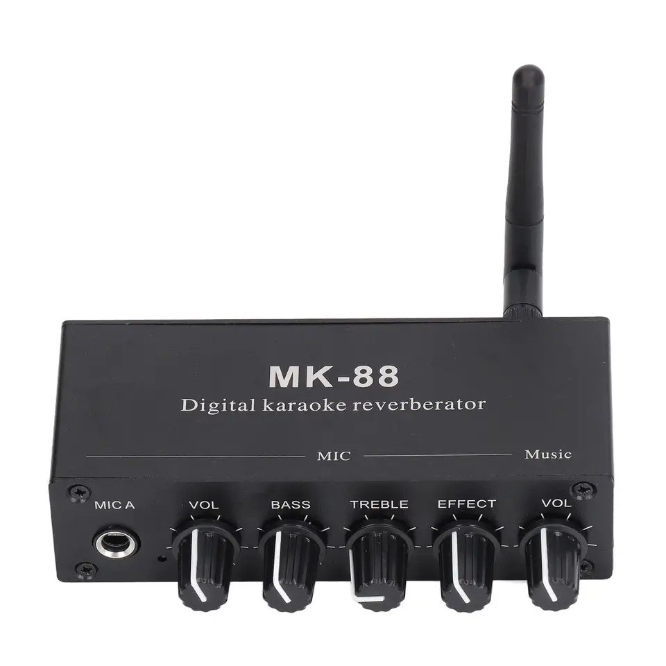 5.0 Digital Stereo Reverberator zosilňovač s duálnymi vstupmi mikrofónu - 12 V DC