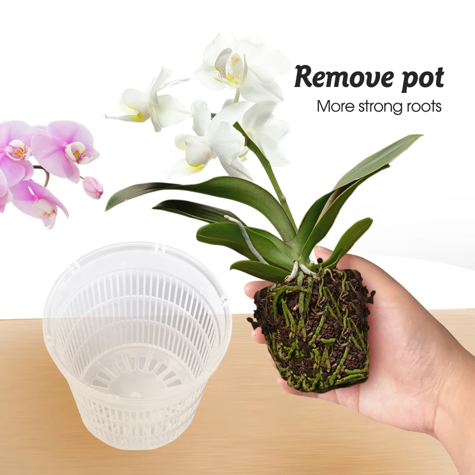 5/10ks číry plastový orchideový kvetináče s otvormi priedušný štrbinový kvet