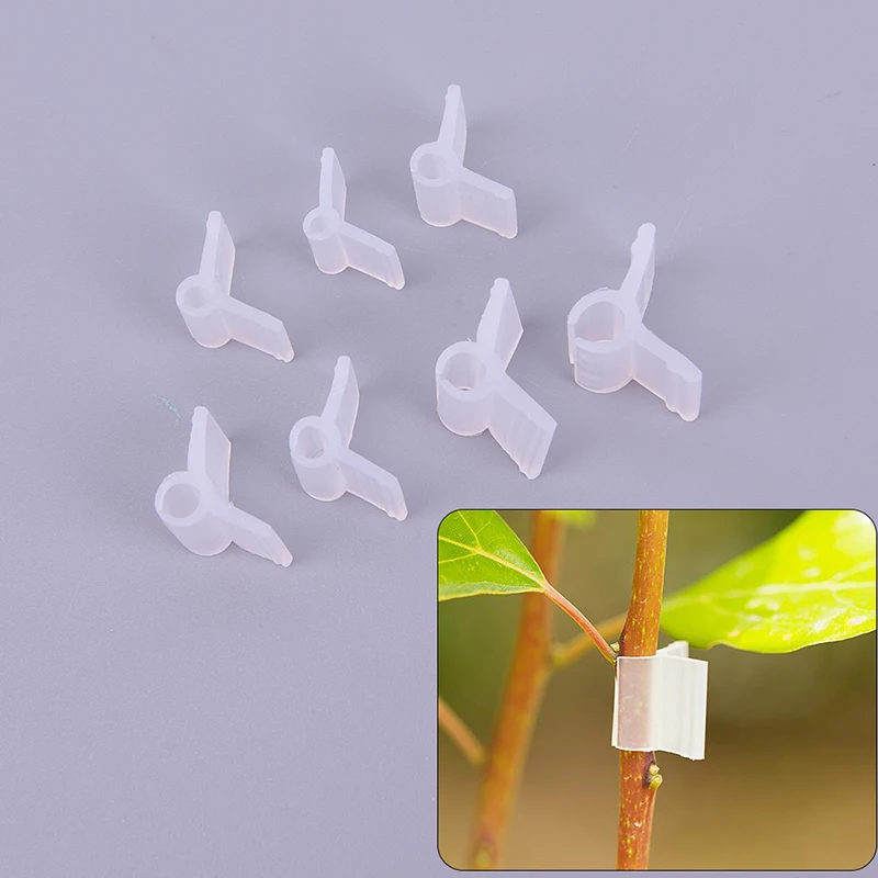 50/100 pcsgarden kvetinové rastlinné viničné sadenice štepené vetvy Clip Conector Connector Upevňovacie prvky plastové sponky záhradný náradie