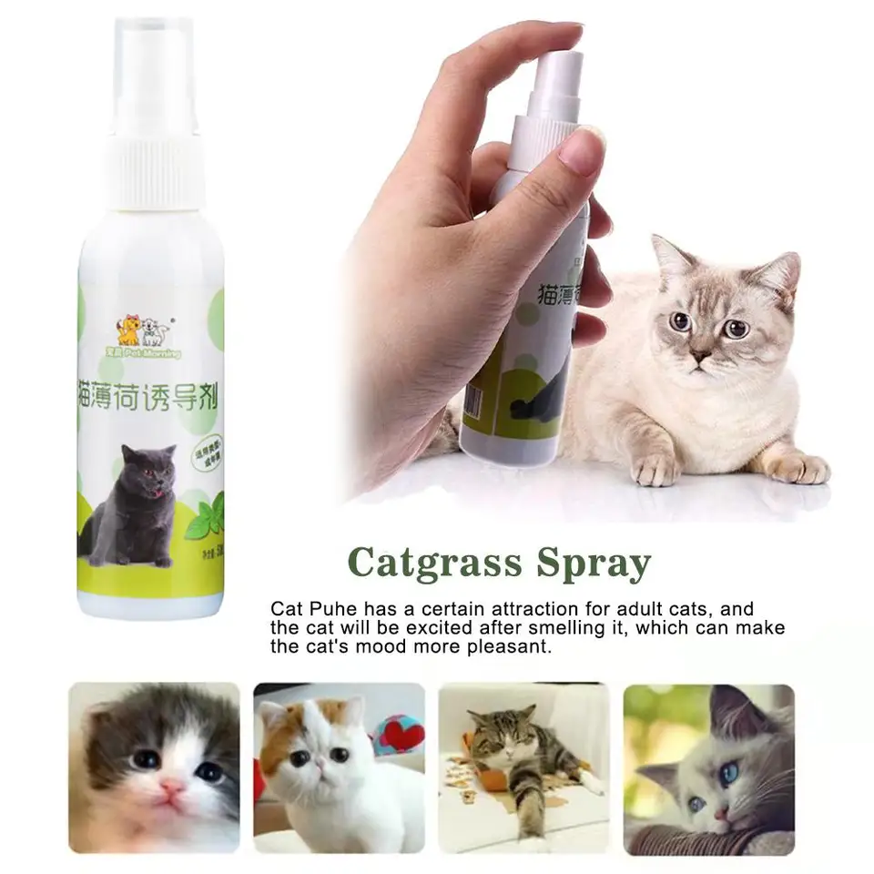 50 ml prírodná bezpečnosť zdravia Cat Inducer Inducer Mint Sprej na mačku Čerstvé dýchacie výcvik Inducer Spray Cat Toy C5B0