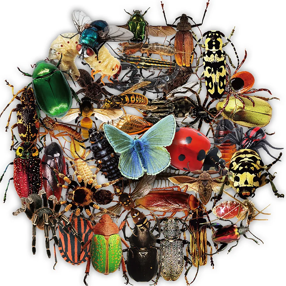 50ks priehľadné realistické nálepky na hmyzú nálepky pre chyby pre deti Dospelí dospelí nálepky na scrapbook Príroda Mini Bugs Moth Stickers