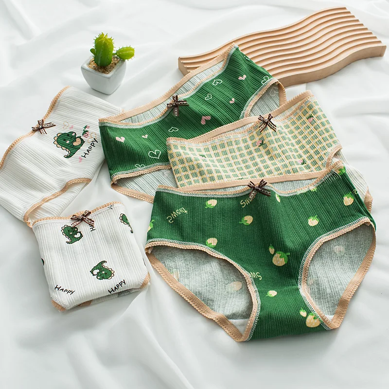 5ks/set Cute Cartoon Cotton Underwear Dámske nohavičky Dinosaurus Tlačové nohavičky pre dievčatá Sexy panty spodky spodky INTIMÁTY PRIPOJENSKÉ
