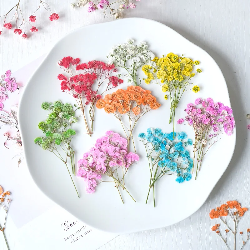 6-8 cm/12ks, nová farba babysbreath suchý kvet, lisovaná záložka pre domácich majstrov kvapkania kvapkania lepidla stolové lampy na nechty Kozmetika Kozmetika Materiál