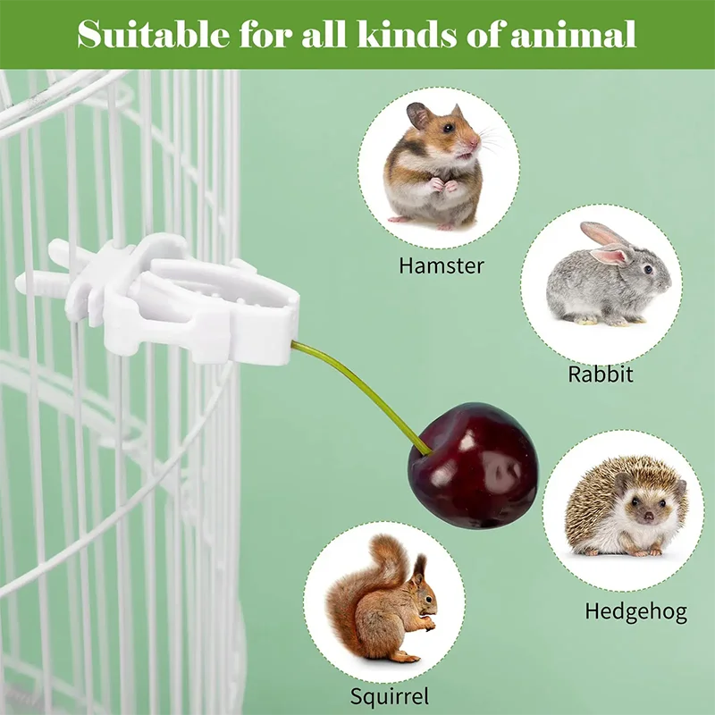 6ks vtáky držiak potravín Pet papagáj Parrot kŕmenie ovocné klipky Cuttlefish Bone Feedater