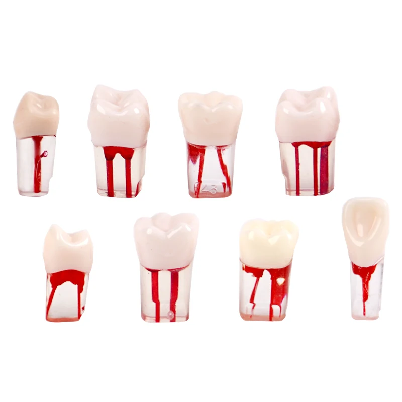 8pcs zubný endo tréningový model Endodontic Root Canal Practice Model blokuje koreňové endo súbory výučby výučbového nástroja
