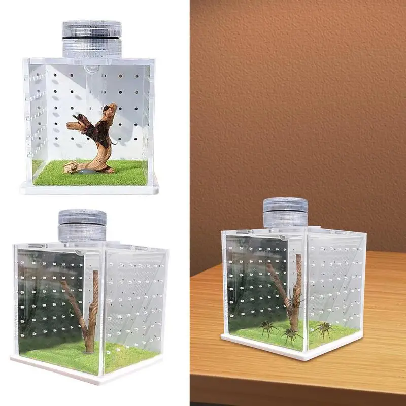 ABS Transparent skákacieho šľachtiteľa pavúkov na pavúky s ľahkými zvlhčovačmi pavúky Malé hmyzy (vetvy vo vnútri sú náhodné)