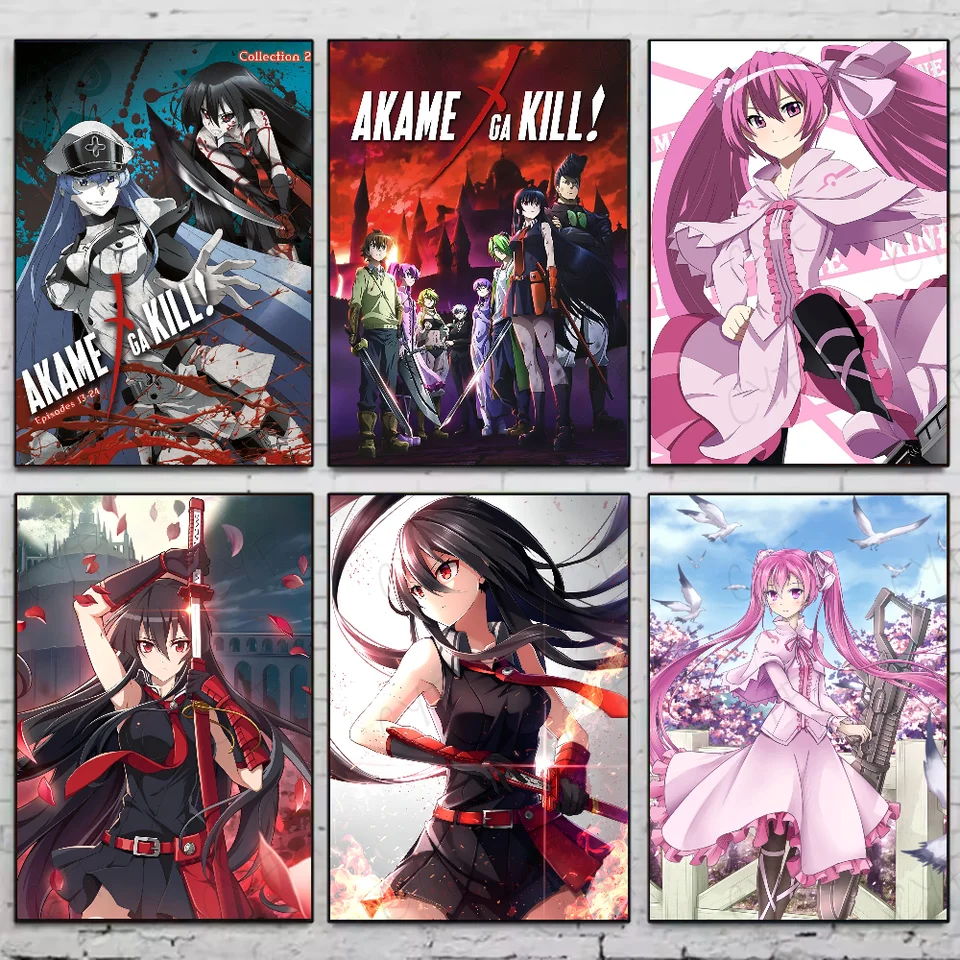 Akame ga zabije anime plagát HD Art Spicks Waterproof Witerproof Domov obývacia izba Bar estetická dekorácia