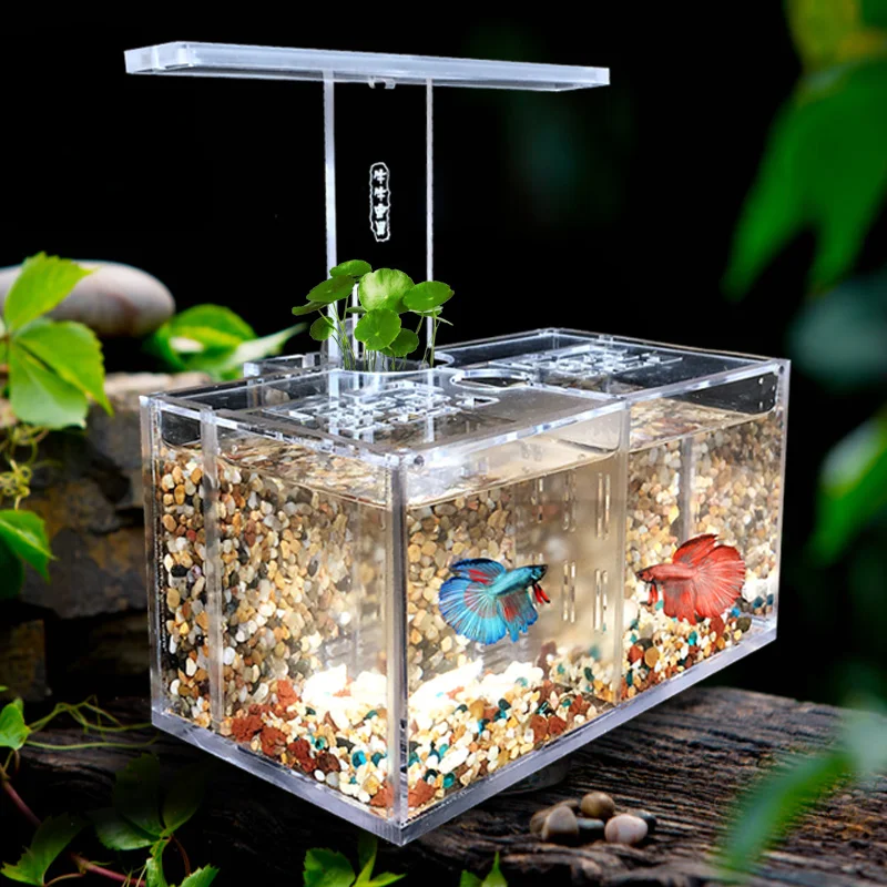 Akrylová rybaska nádrž na výmenu vody ZADARMO Izolácia s izoláciou s LED Desk Desk LAMP Vodné čerpadlo filter akvárium Office Desktop Dekorácie