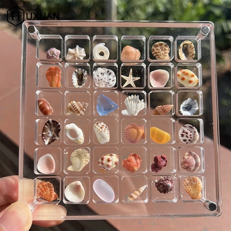 Akrylové magnetické mušľové skrinky na výstavu územia Seashell Clear Starfish Drinket Organizátori 36/64/100 mriežky Mini Seashell Storage Box