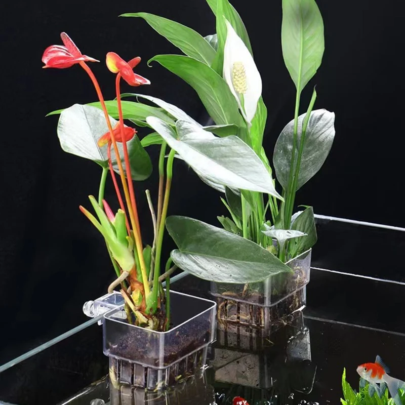 Akvárium Hydroponia Planting Cup Cup Domácnosť Vodná rastlinná šálka akrylového pohára akrylové úpravy Decorácie terénne úpravy