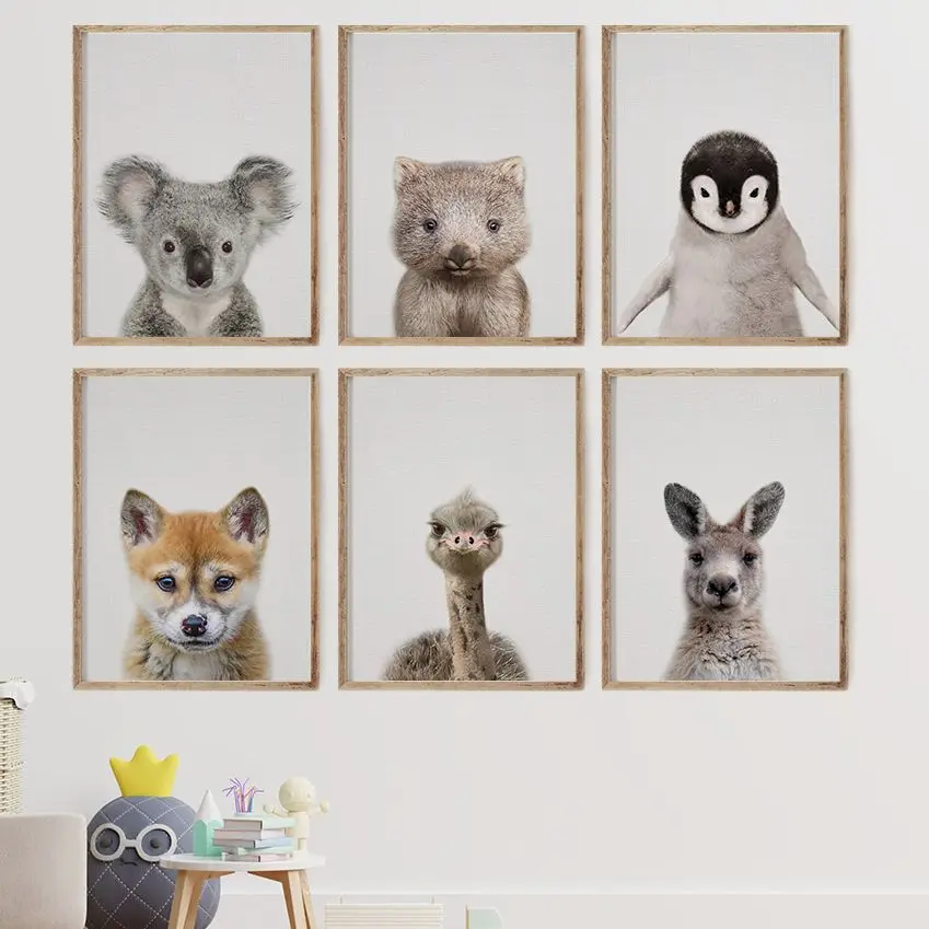 Austrálske zviera koala wombat kookaburra kangaroo cockatoo materské múry múry potlač plátno maľba plagát detská detská izba dekor