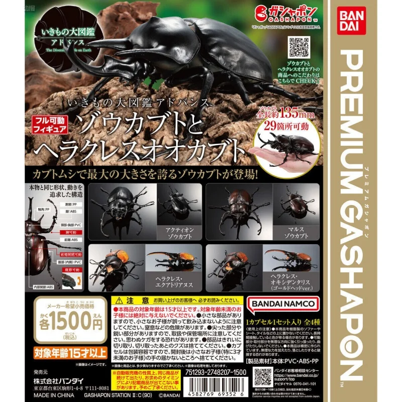Bandai Original 4ks Advance Gashapon アドバンス ゾウカブトとヘラクレスオオカブト Hračky pre deti zberateľské modelové ozdoby