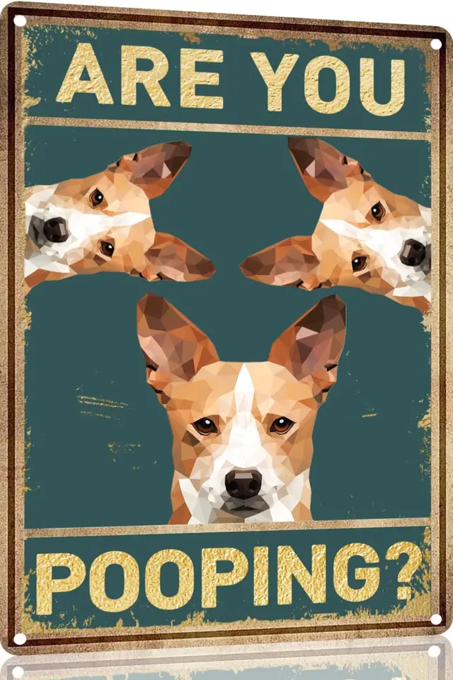 Basenji ps vintage kovový hliníkový znak ste hovädzí znak kúpeľňa vtipné umenie plagát dekorácia toaleta