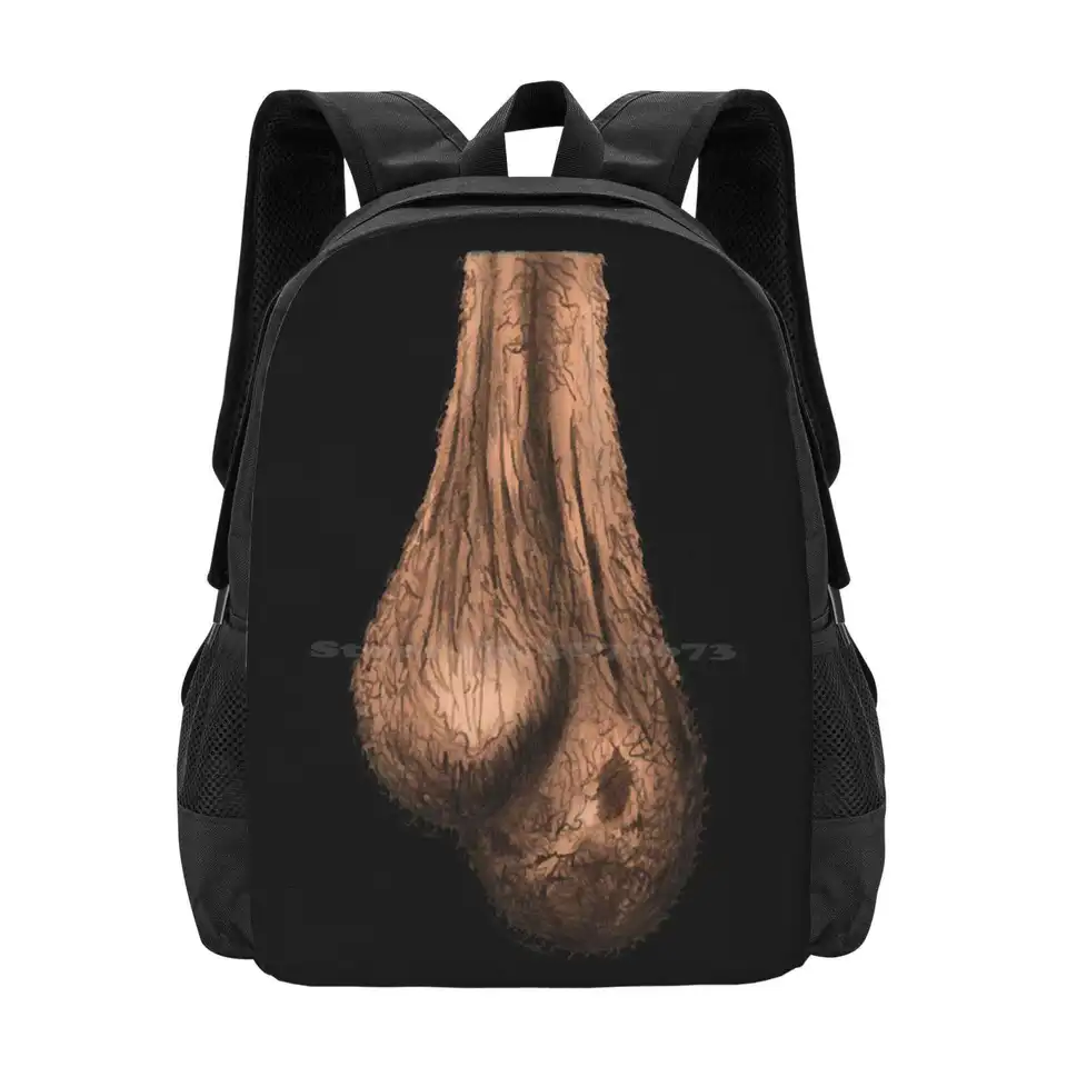 Batoh pre staršie gule pre študentské školy cestovná taška na laptop Andysocial Industries Balls Dick Jewels Nuts smiešne hlúpe