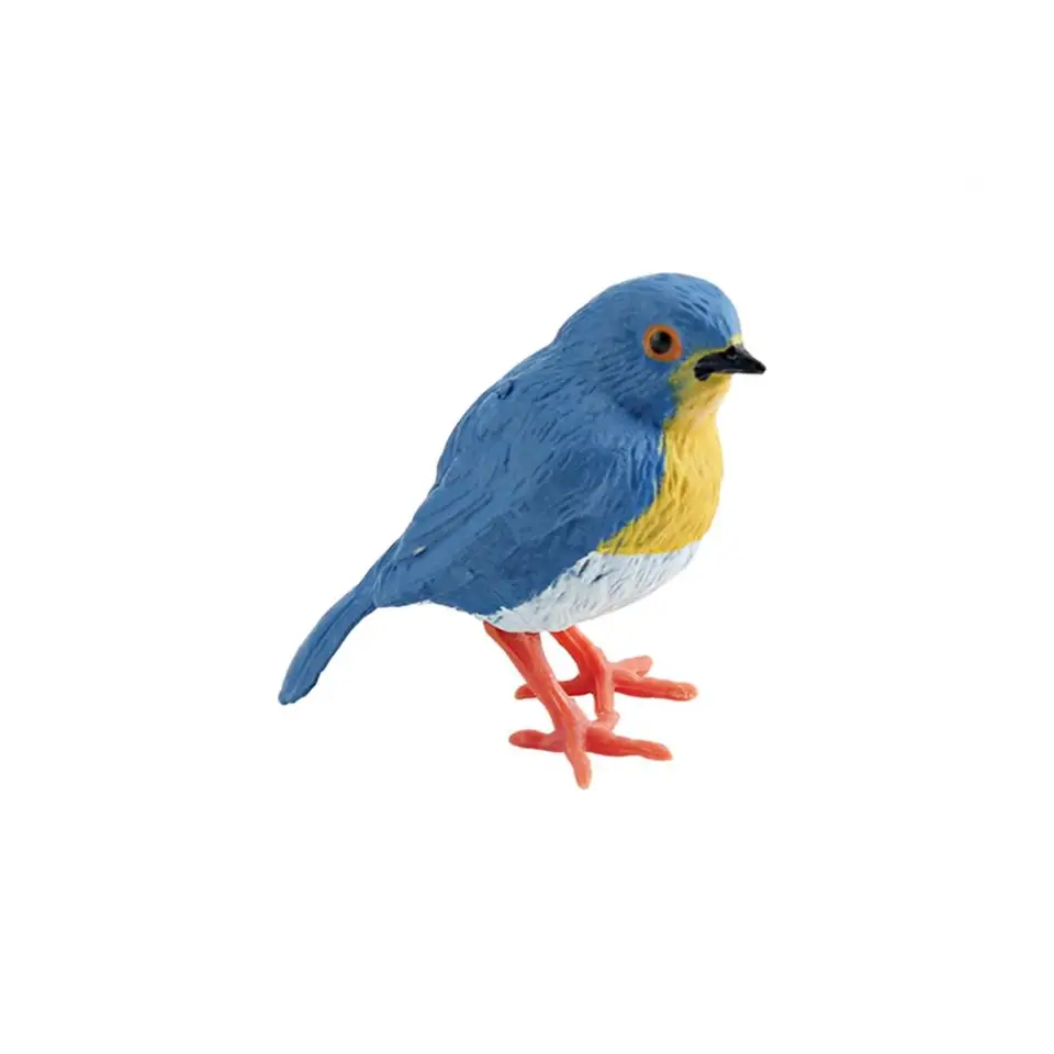 Bird Model Toy Realistic Bird Figurín Roadrunner Hummingbird Robin Modely Vzdelávacie lietajúce hračky pre deti tortu Topper