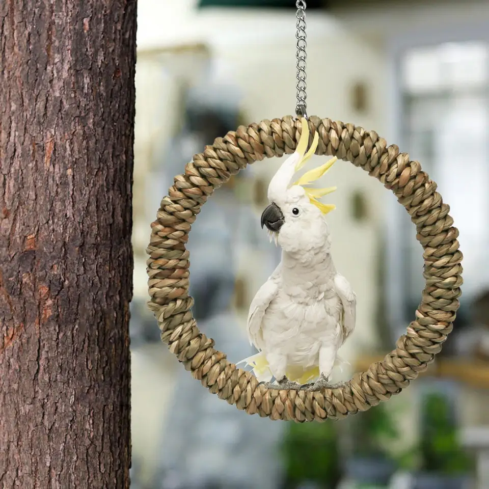 Bird Swing stojan papagáj Parrot Pet Pet dodávky hniezdenie hniezdenie Round Round Gifts zavesenie prsteňov
