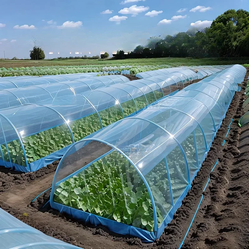 Blue Anti Fog Arch Arch Shed Izolácia Film Zeleninová výsadba s priehľadnou kvapkaním bezplatného filmu proti mrazu Greenhouse Vnútorné filmy